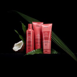 Nutriplenish® - Hydrating Shampoo Deep Moisture