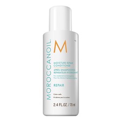 Moisture Repair - Mini Conditioner