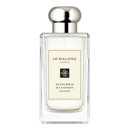 Silver Birch & Lavender - Cologne