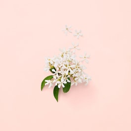 Gucci Bloom - Eau de Parfum