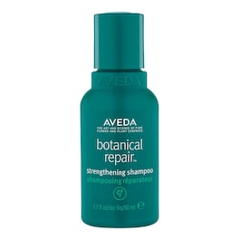 Botanical Repair - Shampoo image
