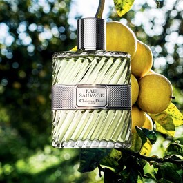 Eau Sauvage - Eau de Toilette för män- Fräscha och somriga noter