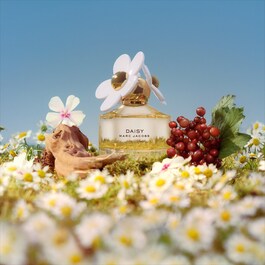Daisy perfume cheap