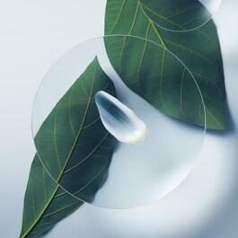 Botanical Repair - Strengthening Leave-In Treatment