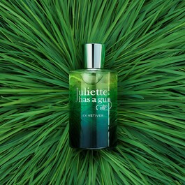 Ex Vetiver - Eau de parfum