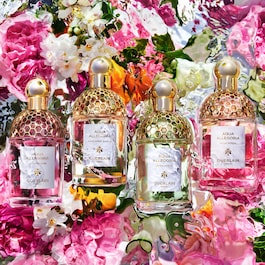 Aqua Allegoria Granada Salvia - Eau de Toilette