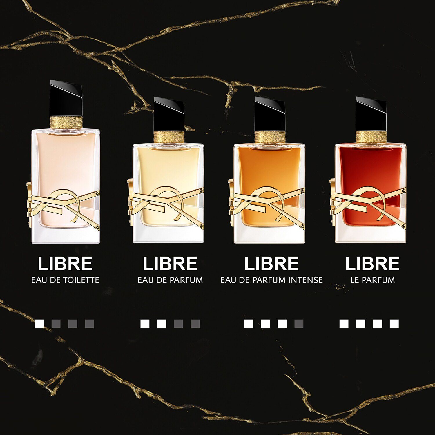 Yves saint best sale laurent libre intense