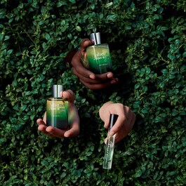 Ex Vetiver - Eau de parfum