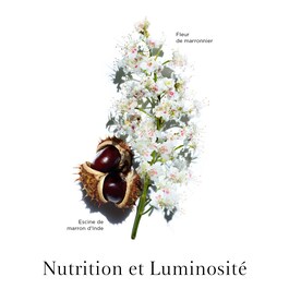 Nutri-Lumière Day Cream - All Skin Types