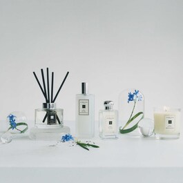 Wild Bluebell - Candle