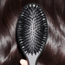 The Dresser - Oval Dressing brush