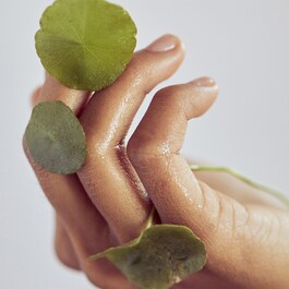 Centella - Cleansing Oil