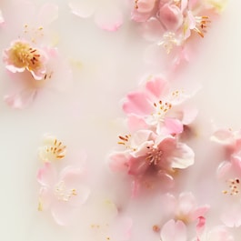 The Ritual of Sakura - Mini Bad- och kroppsvårdsset