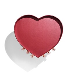 Charlotte's Beauty Treasure Chest of Love - Julkalender