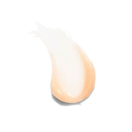 Plump + Juicy Lip Booster - Plumpande läppvård