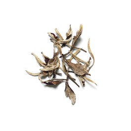 The Ritual of Karma - Fragrance Stick