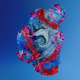 Blue Therapy - Red Algae Night Cream
