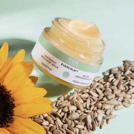 EverCalm - Overnight Recovery Balm