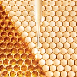 Abeille Royale - Eye Cream
