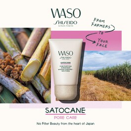 Purifying Mask