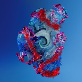 Blue Therapy - Red Algae Uplift Rich Day Cream