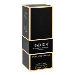 Bad Boy -  Power Up Spray