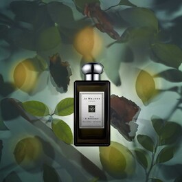 Oud & Bergamot - Cologne Intense