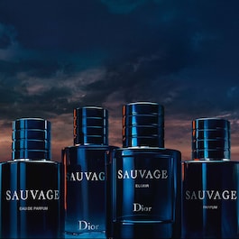 Sauvage - Deodorant stick för män