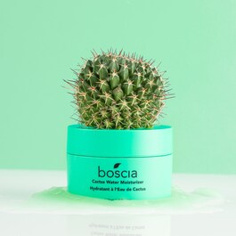 Cactus Water Moisturizer