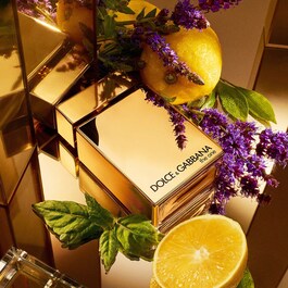 The One Pour Homme Gold - Eau de Parfum Intense