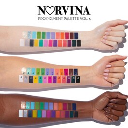 Norvina Pro Pigment Palette Vol. 6 for Face and Body