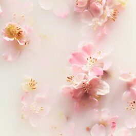The Ritual of Sakura - Inomhusdoft