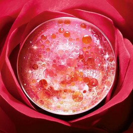 Absolue Soft - Cream
