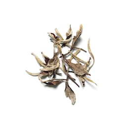 The Ritual Of Karma - Mini Fragrance Sticks