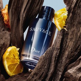 Sauvage - Eau de Toilette för män - Kryddiga, träiga & noter av bärnsten