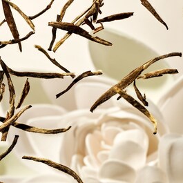 The Ritual of Karma - Car Fragrance Refill