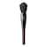 Face Brush