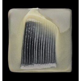 Absolut Repair Gold - Shampoo
