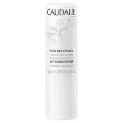 Lip Conditioner