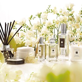 English Pear & Freesia - Diffuseur