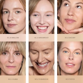 True Skin Serum - Concealer