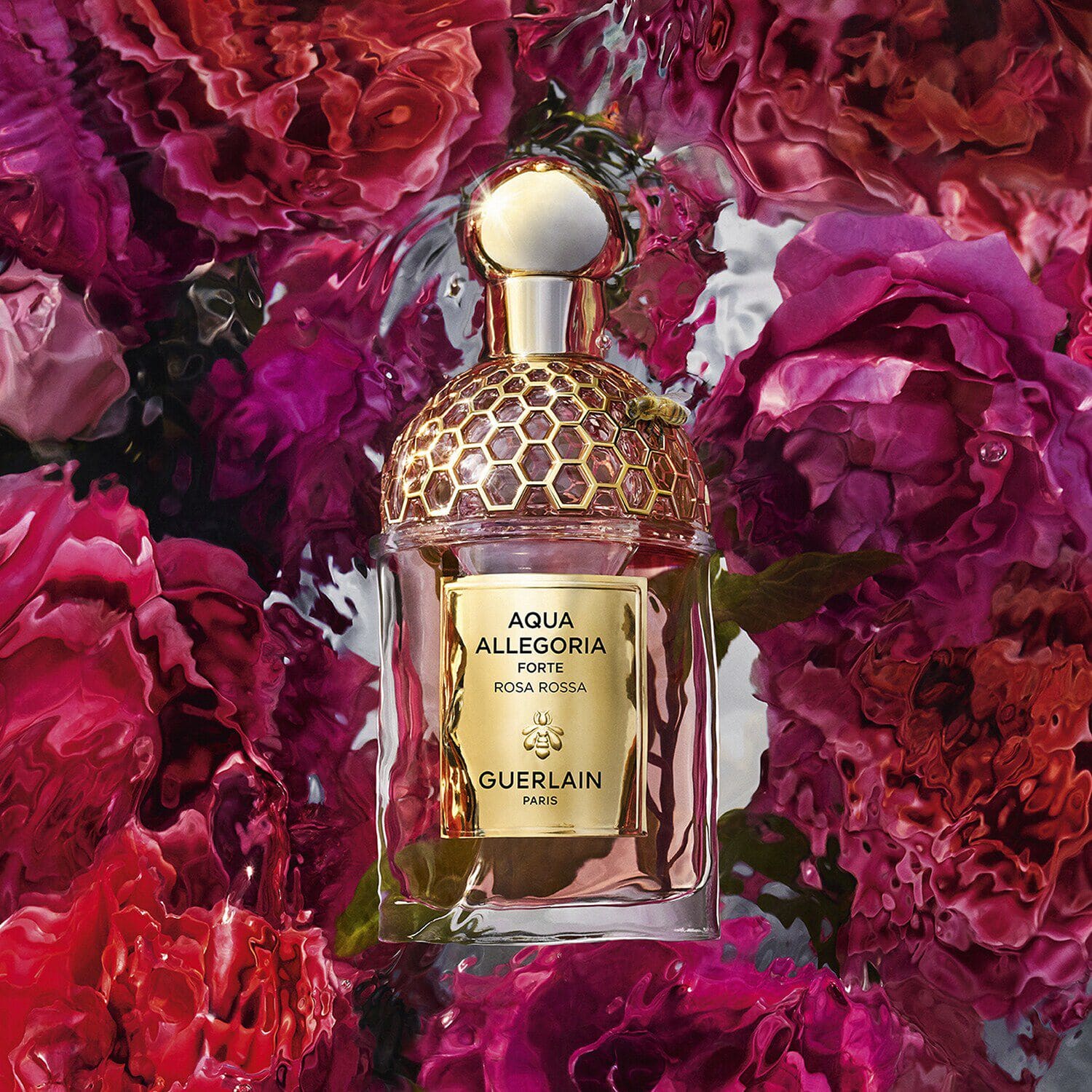 Aqua rose outlet
