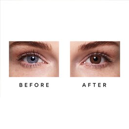 1 Month Lenses - Bronze