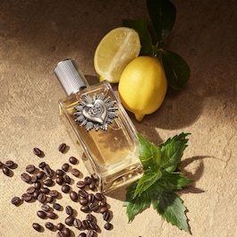Devotion Pour Homme - Eau de Parfum