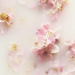 The Ritual of Sakura - Small Gift Set
