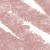 N°16. Nude Beige (0,7 g)